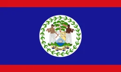 1743877376897.webp