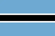 1743891216194.webp