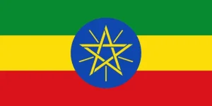1743987250218.webp