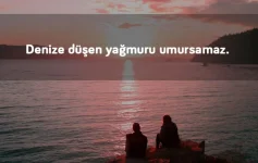 1000012396.webp