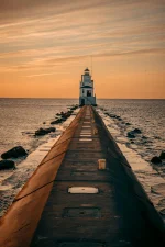 pexels-todd-trapani-488382-1535162.webp