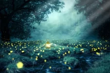 night-3078326_1280.webp