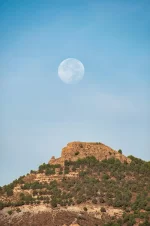 landscape-8336496_1280.webp