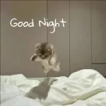 image.webp