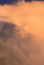 1742579556638.webp