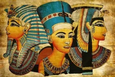 image.webp image.webp